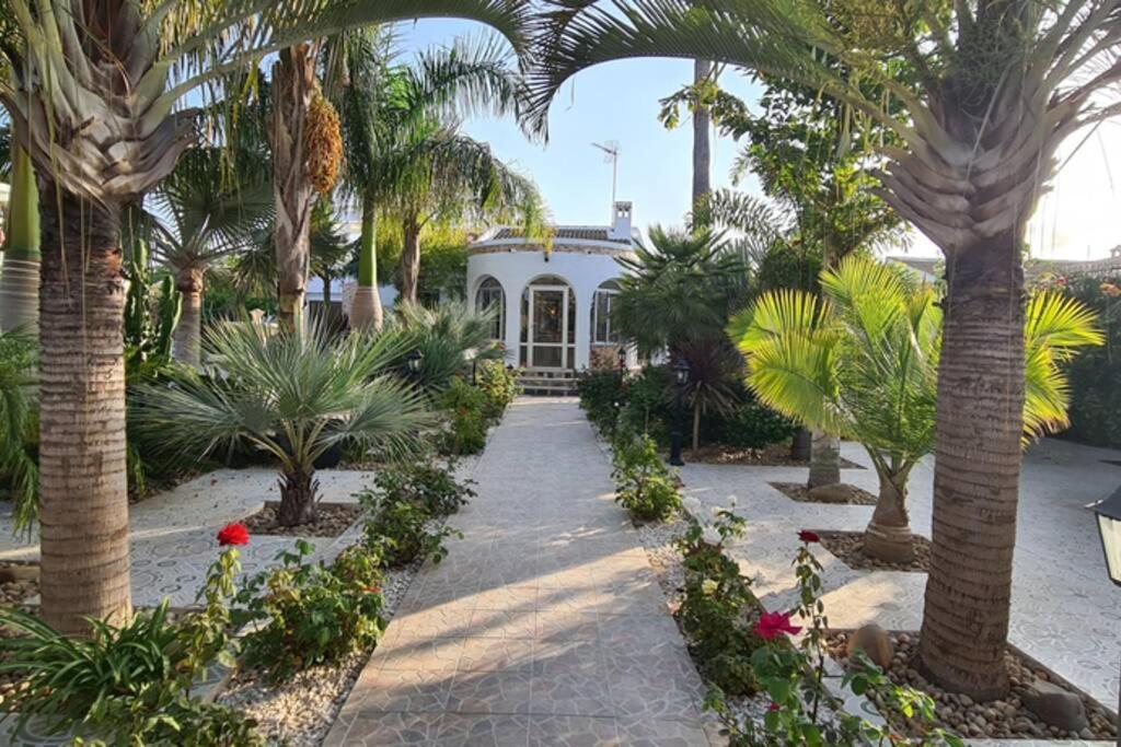 Tropical Paradise Villa In Torrevieja Exteriör bild