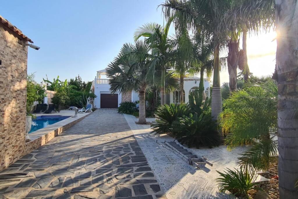 Tropical Paradise Villa In Torrevieja Exteriör bild