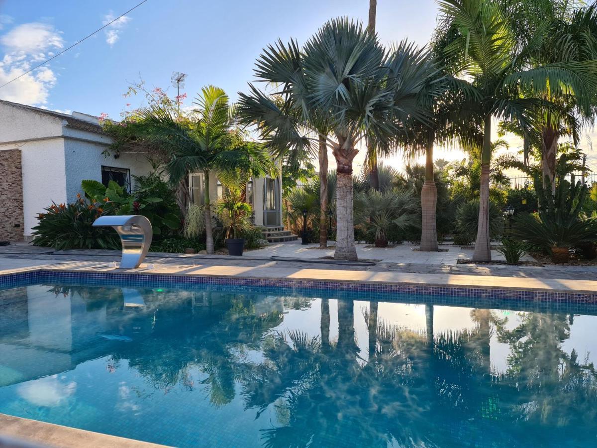 Tropical Paradise Villa In Torrevieja Exteriör bild
