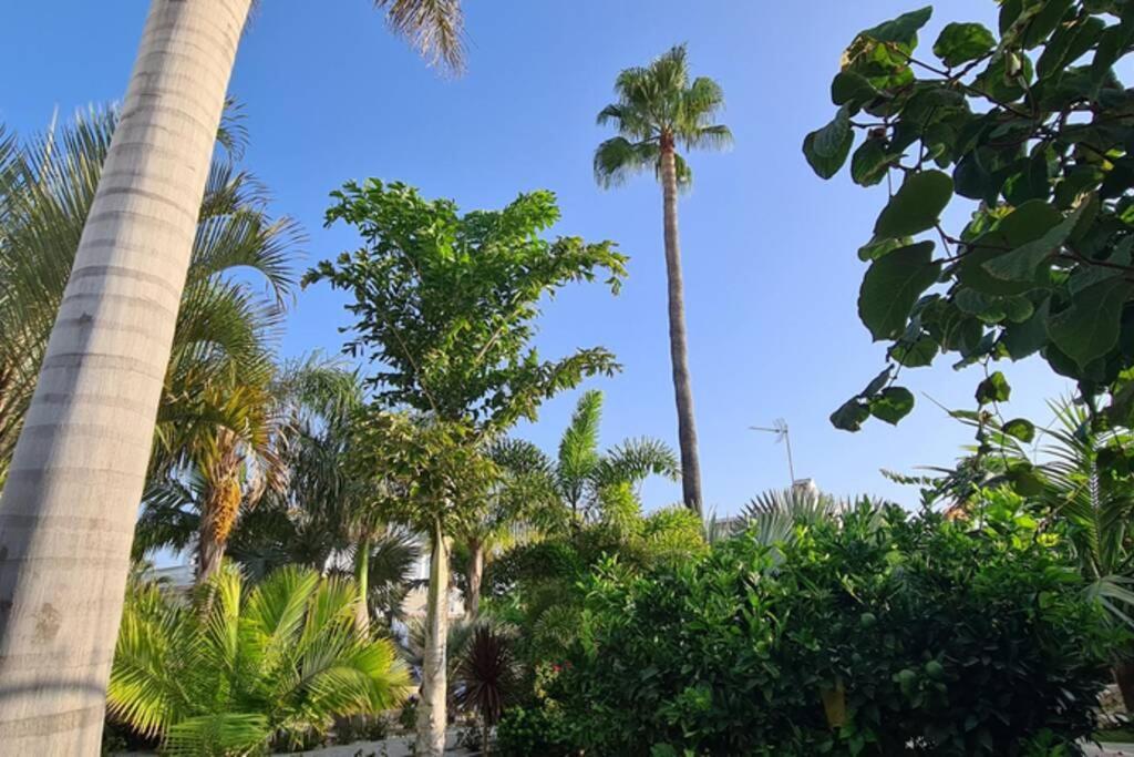 Tropical Paradise Villa In Torrevieja Exteriör bild