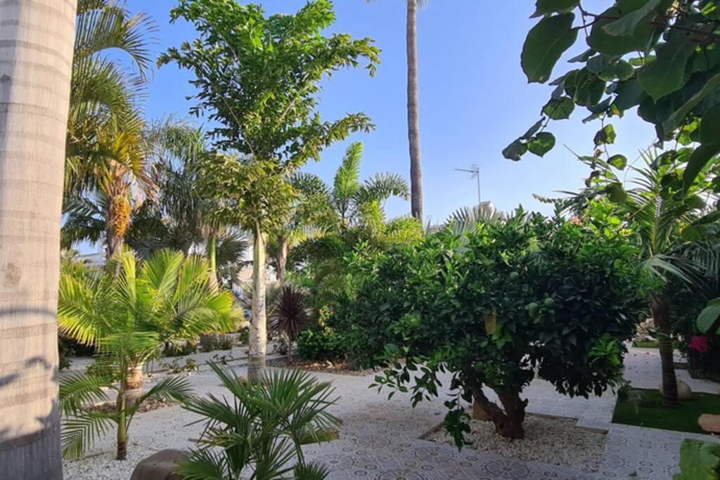 Tropical Paradise Villa In Torrevieja Exteriör bild