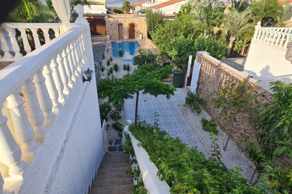 Tropical Paradise Villa In Torrevieja Exteriör bild
