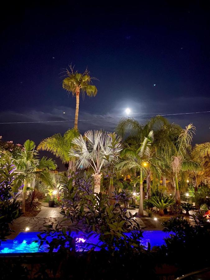 Tropical Paradise Villa In Torrevieja Exteriör bild